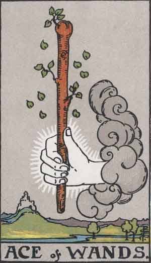tarot card - the ace of wands